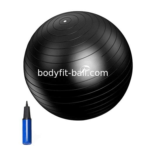 Stability Yoga Balance Ball Pilates Gym Ball For Exercise Training Core Strength